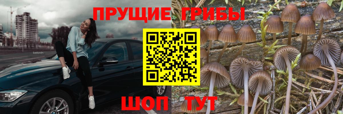 Галлюциногенные грибы MAGIC MUSHROOMS  хочу   Киселёвск  Вход с VPN 
