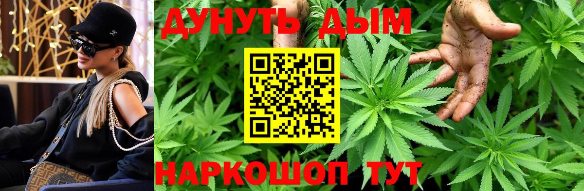 Канабис планчик Киселёвск